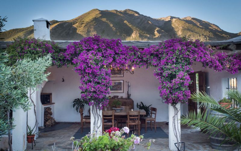 Dining table framed by flowers with a mountain behind