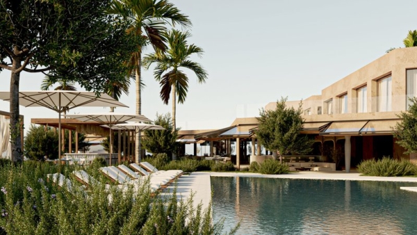 Palm trees next to luxury swimming pool
