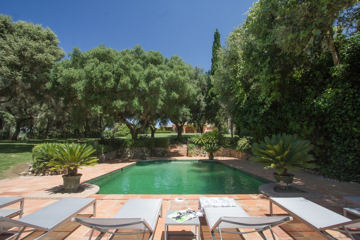 sun loungers by a tree-lined pool