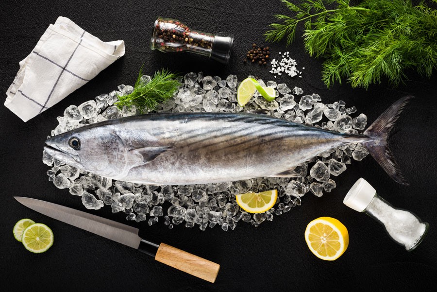 Tuna Fish