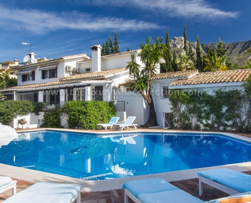 Villa Bali Marbella Swimming Pool 2