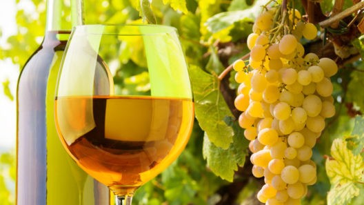 Exploring the Wines of Andalucia – More Than Just a Sweet Affair