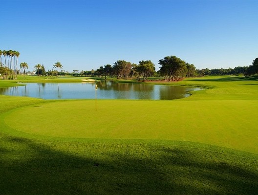 green sotogrande golf course