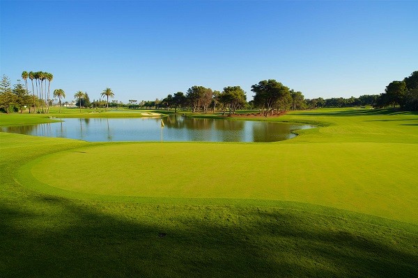 green sotogrande golf course1