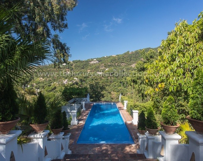 madronal villa swimming pool