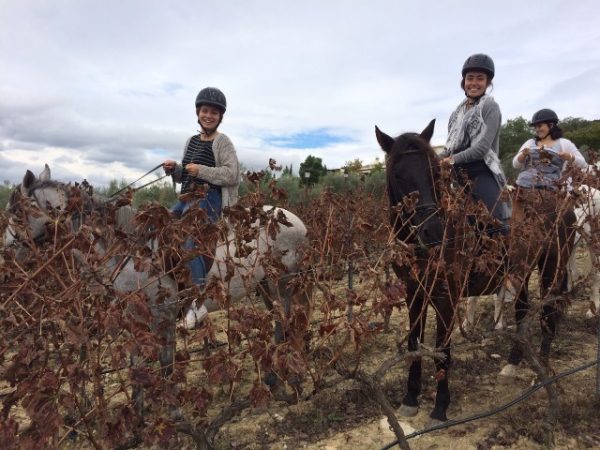 Horse Riding Through A Vineyard in Spain
