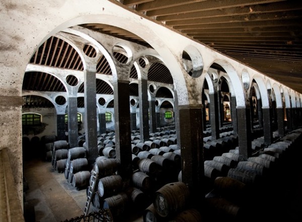 wine barrels in barbadillo bodega