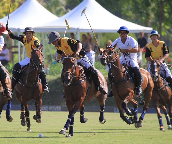 Polo match in Sotogrande, Spain