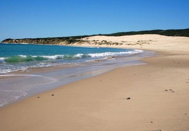 dunes at valdevaqueros beach