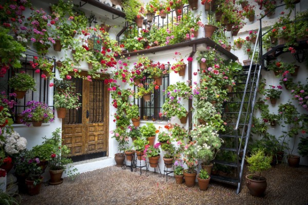 Pretty Patios of Andalucia