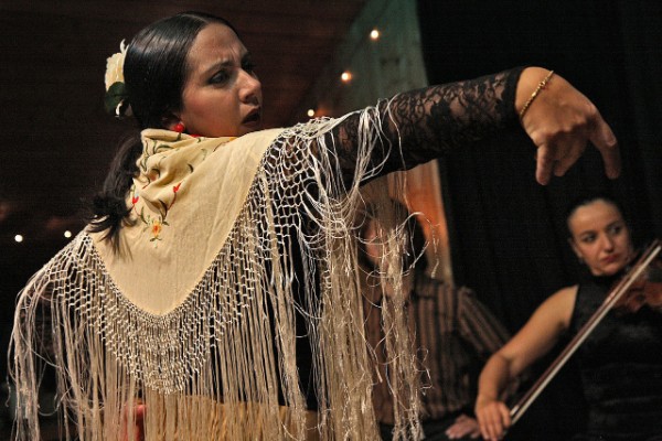 Flamenco dancer