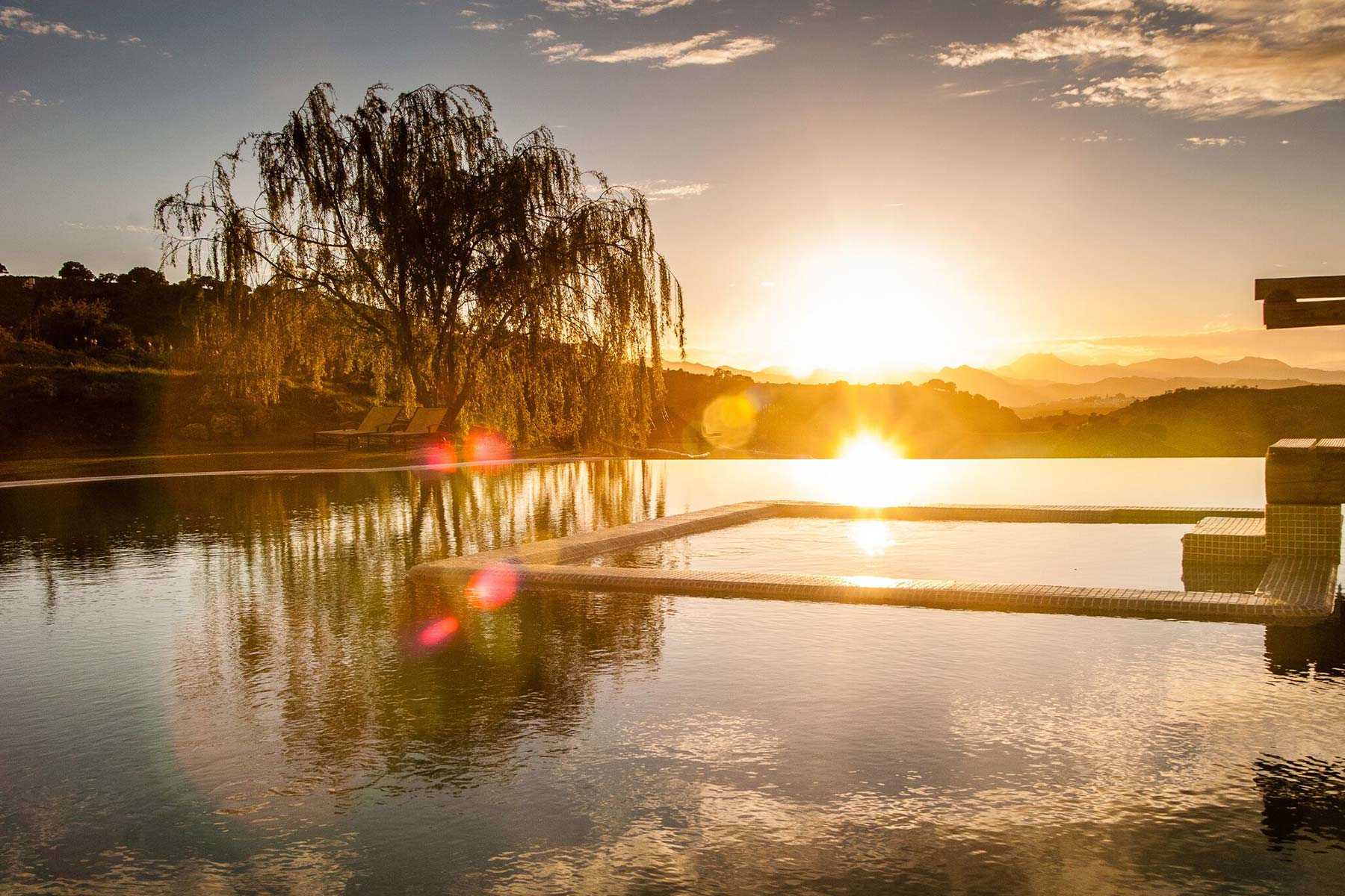 eucalyptus by villa pool at sunset
