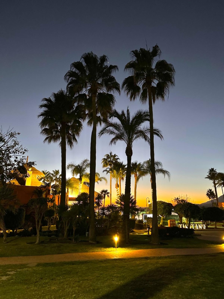 Tikitano Beach Restaurant in Estepona