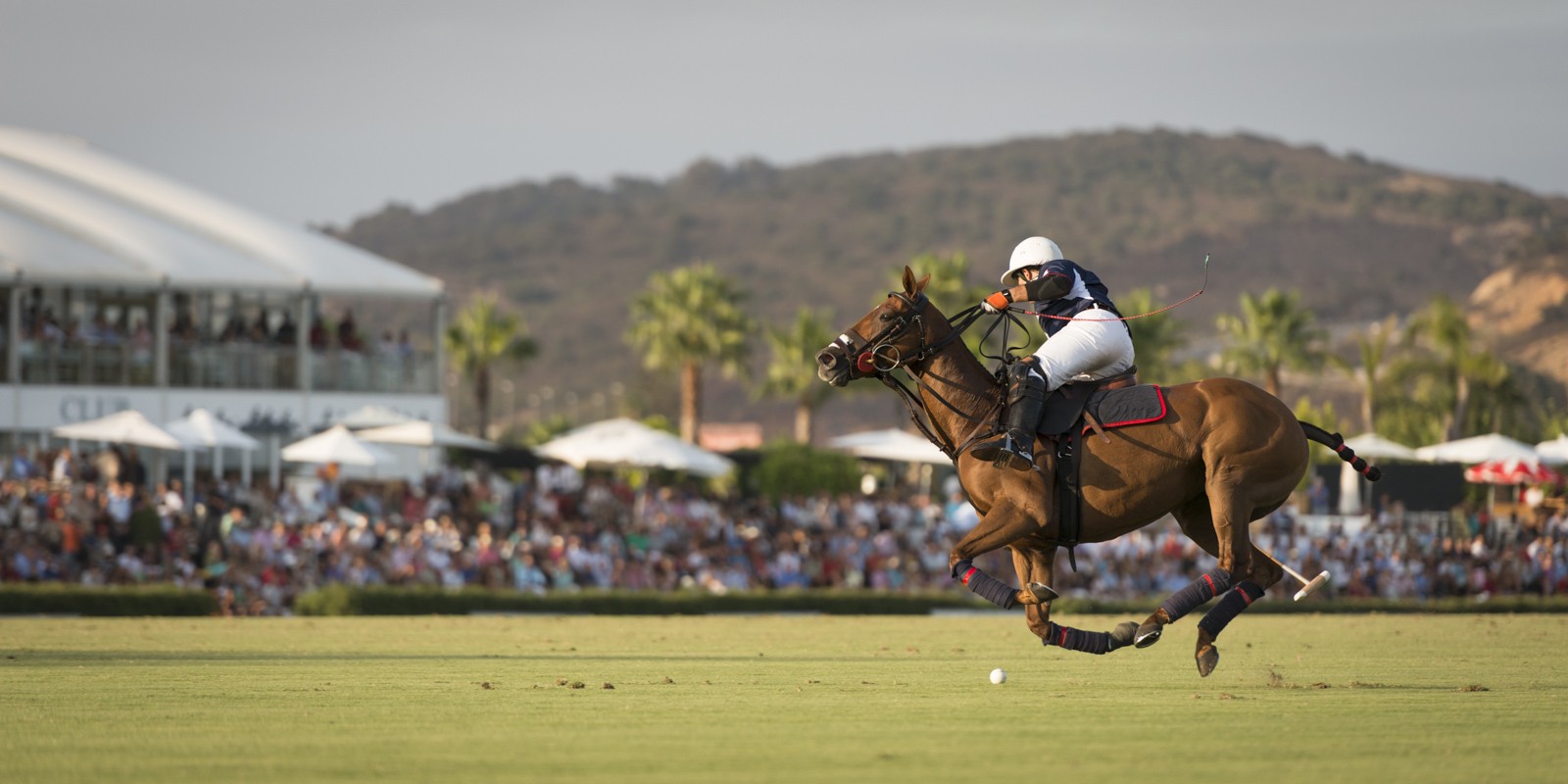 Luxury Villas in Sotogrande