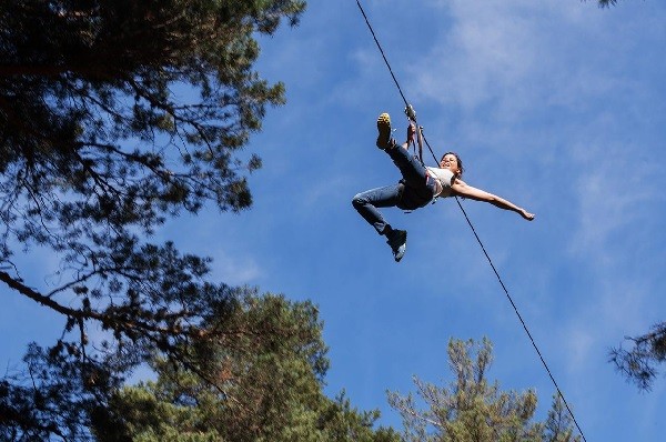 Tree top adventure - Zipwire