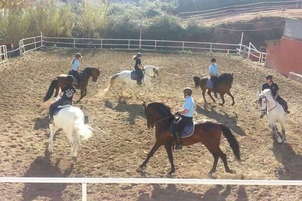 Horse Riding in Marbella