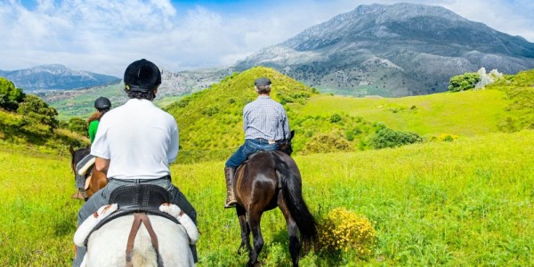 Horse riding in Sierra de las Nieves