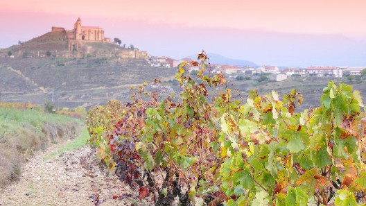 A Brief Introduction to Spanish Wines