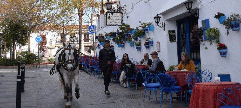 Andalucian life in Mijas