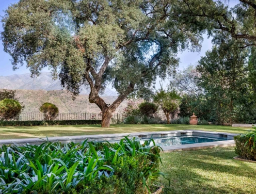 9 Hacienda Bolero Olive trees by the poolside