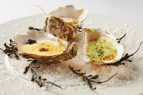 Michelin Oysters